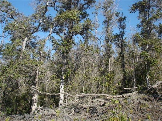 1st image of Hukilau Dr Lot 7