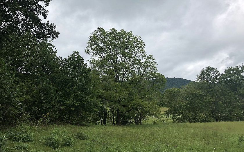 1st image of 937 Billy Ln