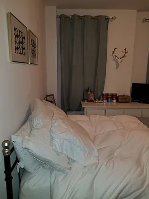 Rented by Sky Management | media 23