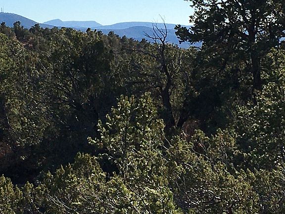 4th image of 213 Pinon Trl