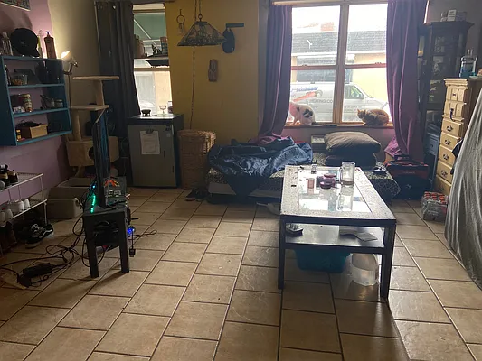 Sold by Keller Williams Realty Landmark | media 15