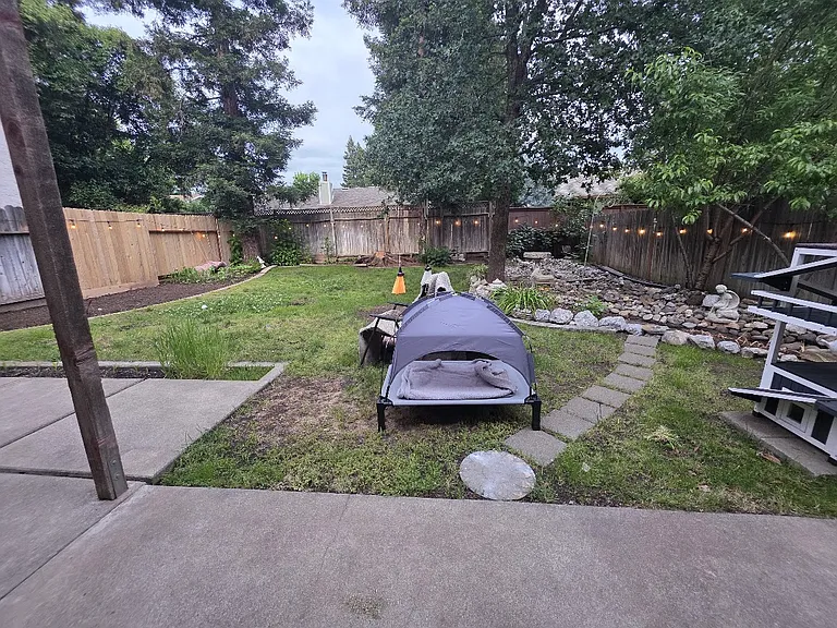 Spacious back yard area with Chinese Rock and Vegetable Garden.