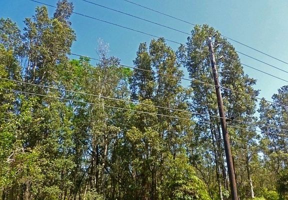 4th image of S Leilani Blvd Lot 23
