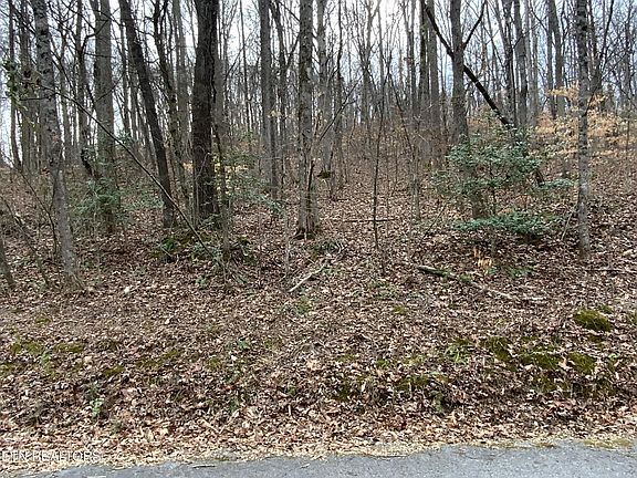 3rd image of 0 Coffey Cir