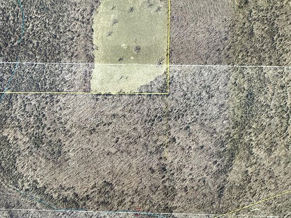 3rd image of 85-Ac Burmingham Road