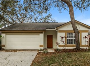4017 Levonshire Pl, Valrico, FL 33596
