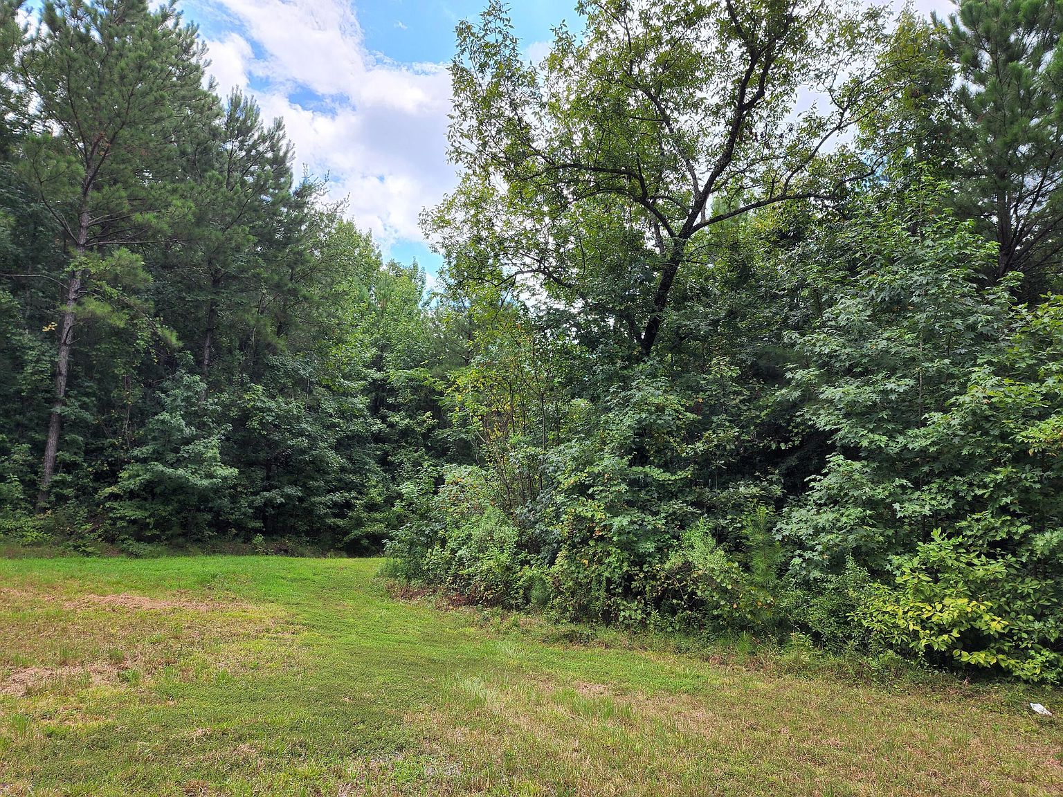 Woodruff Mill Rd, Adamsville, AL 35005 Zillow