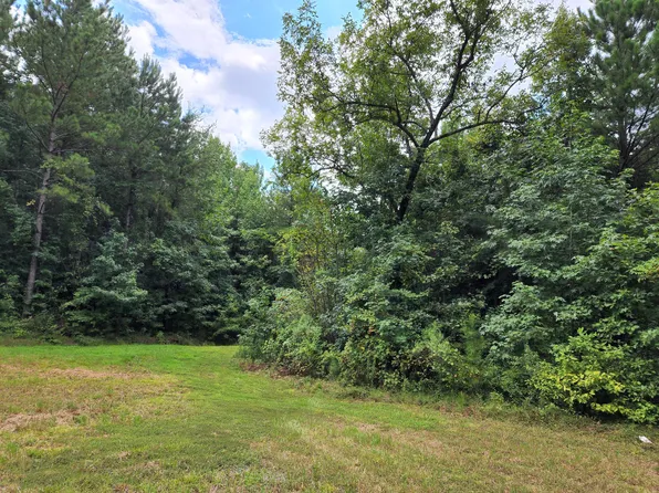 Woodruff Mill Rd, Adamsville, AL 35005