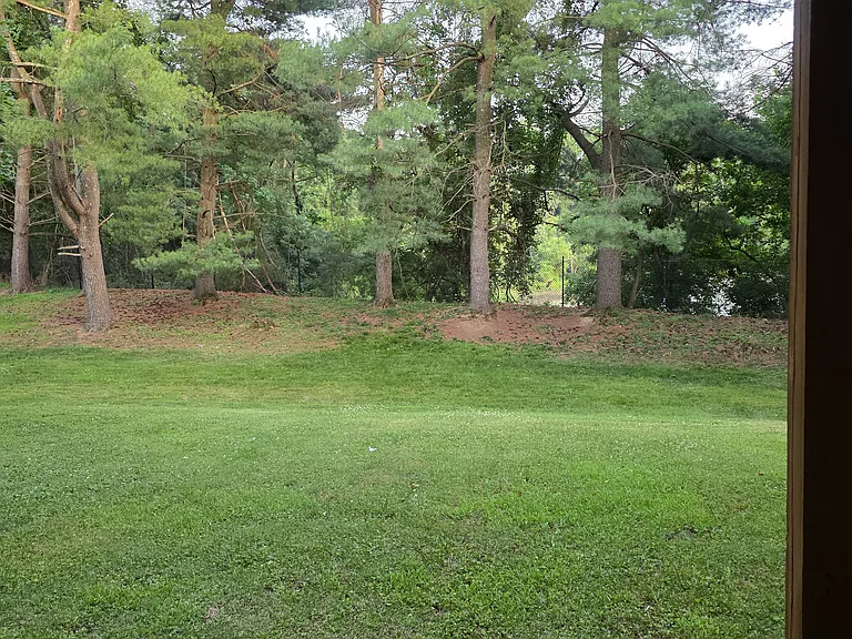 Back Yard view from the Rear Patio Door