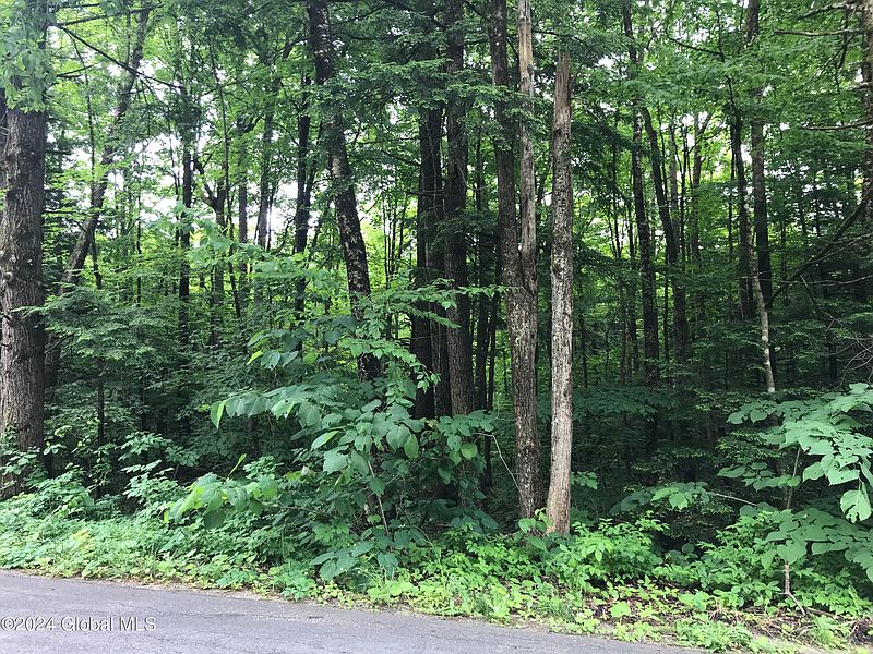 4th image of 167 Wemple Road