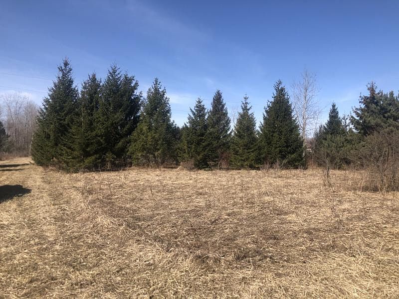 0 Lakeshore Rd, Deckerville, MI 48427 Zillow