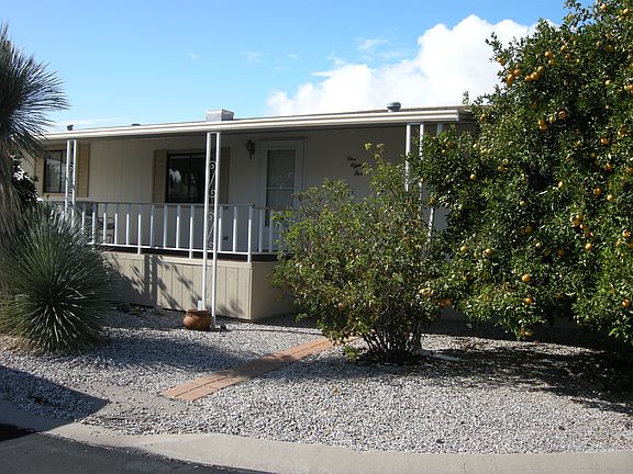 side yard with tangerines