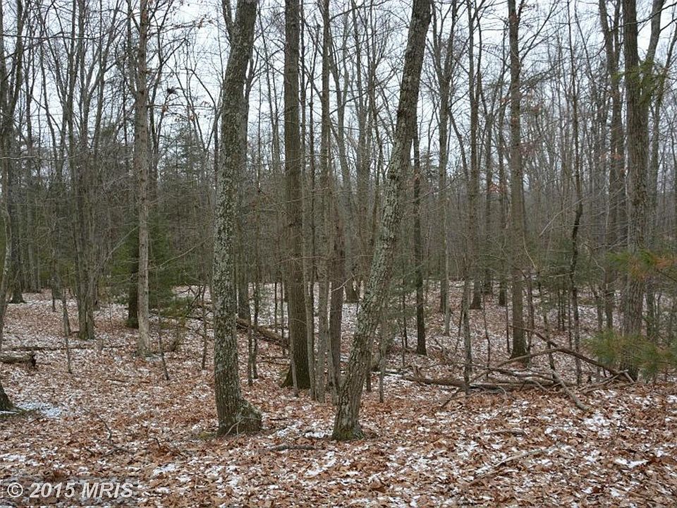 Elevated building site offers best views