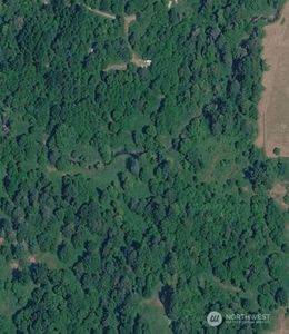 0 Cedar Grove Road, Randle, WA, 98377