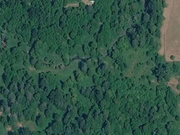 0 Cedar Grove Road, Randle, WA 98377