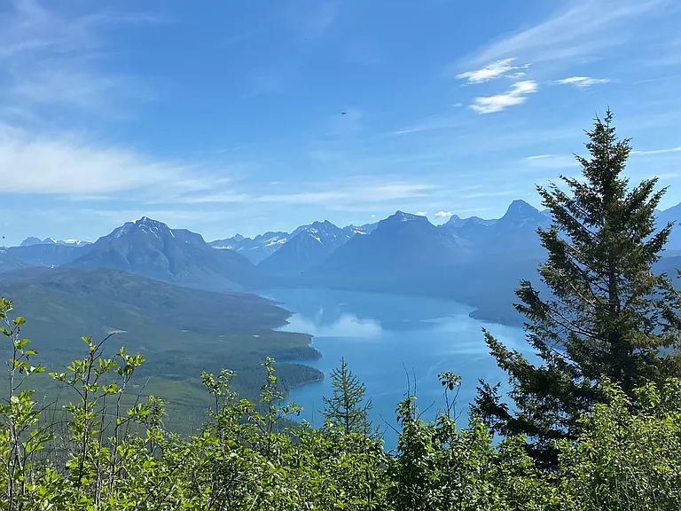 Birch Point Dr — Photo 24