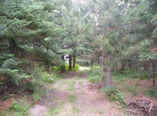 9597 Hutchinson Hwy, Onaway, MI 49765