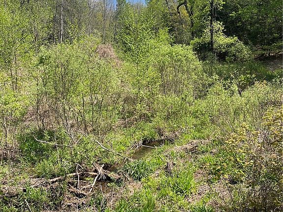 3rd image of 1-20 Sternberg Rd