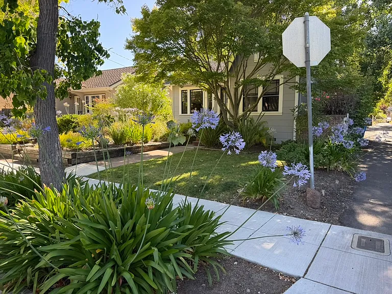 Pine St — Photo 14