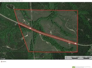 00 Highway 80, Butler, GA 31006