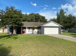 34106 Green Meadow Ln, Leesburg, FL 34788