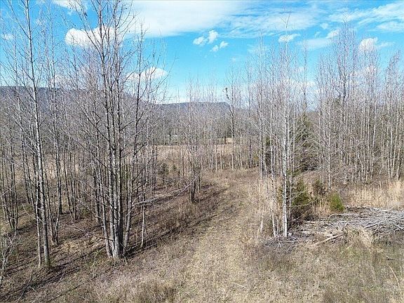 3rd image of 0 Francis Springs Rd