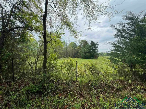 0 County Road 3111 E, Henderson, TX 75654