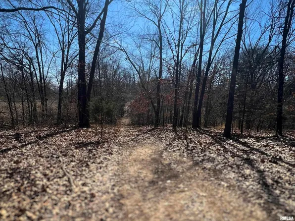 0 Nixville Rd, Carrier Mills, IL 62917