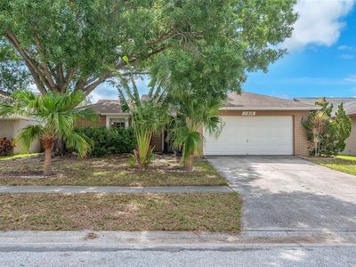 11816 Cedarfield Dr, Riverview, FL, 33579