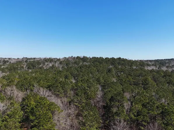 0 County Road 1717, Maydelle, TX 75772
