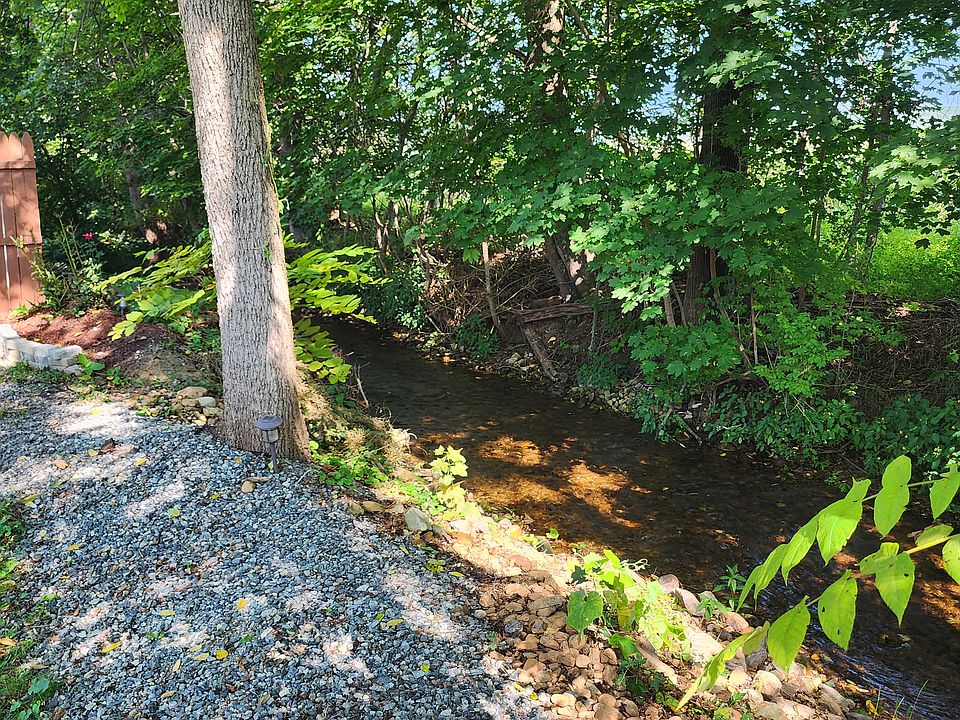 Back yard stream.