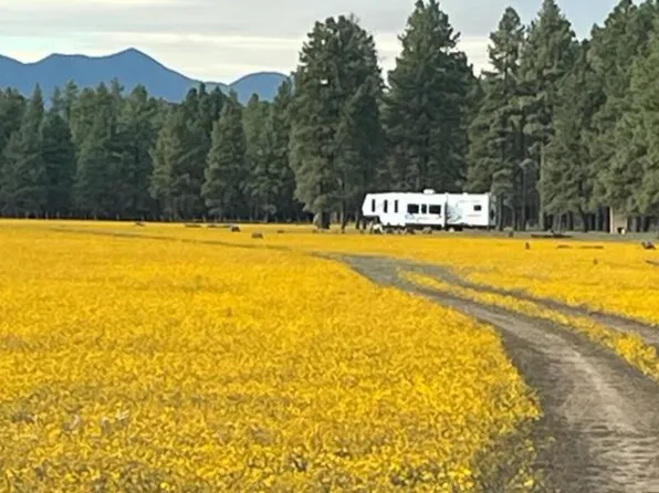 XXXXX E Newman Park Rd -- #2, Flagstaff, AZ 86005