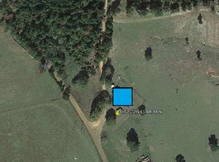1601 Boggy Creek Rd, San Augustine, TX 75972