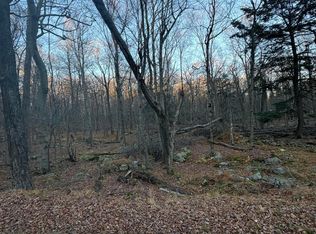 27 Spring Ct, Newfoundland, PA 18445