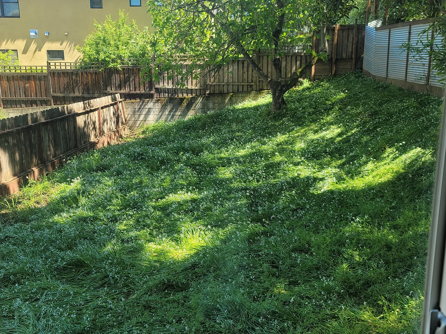 85 Berna Ave — Photo 4