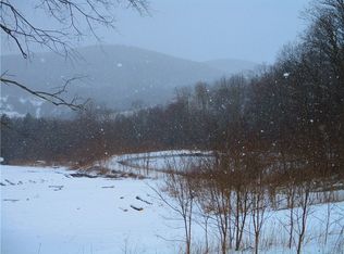 0 W Hill Rd, Worcester, NY 12197