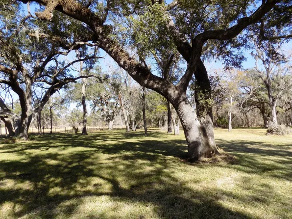 4 Thirteen County Road 161 Shilo Loop Lot 4 #15, Cedar Lane, TX 77415