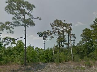 365 Hibiscus Dr, Poinciana, FL 34759