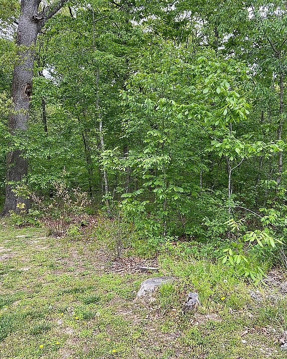 2nd image of LOT 8, BLOCK 5 Abbotsford Ln
