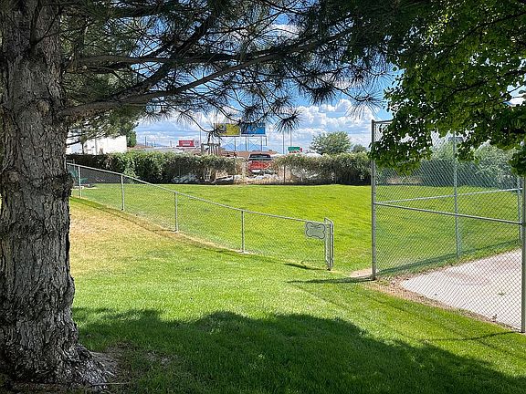 Dog park 