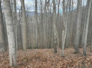 3 Doc Thomas Ridge Rd, Blairsville, GA 30512