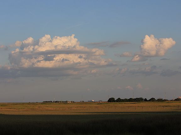 Back yard view
