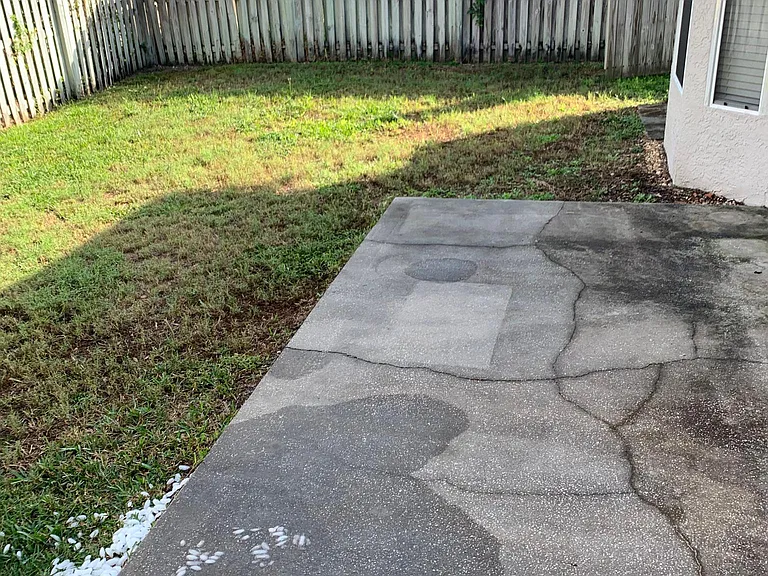Plenty of space of the fenced backyard