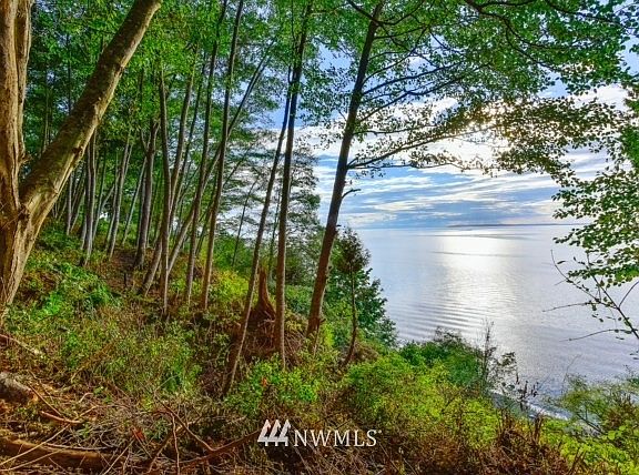5th image of 8700 Semiahmoo Drive
