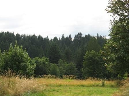 View of back of property