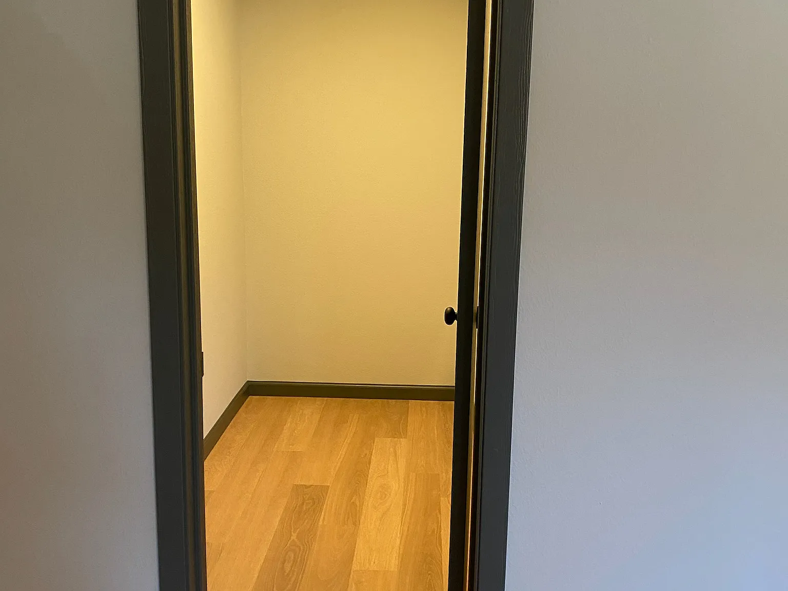 1 bed, 800 sqft, $1,500 — Photo 3