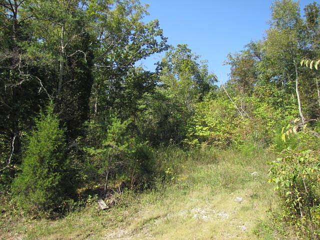 2nd image of 439 Sugar Tree Hollow Rd