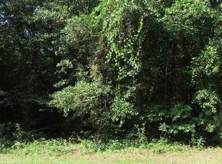 00 Lakeshore Rd, Pelham, GA 31779