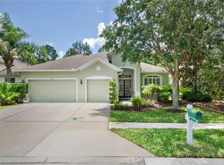 19217 Pelican Ridge Ln, Tampa, FL 33647