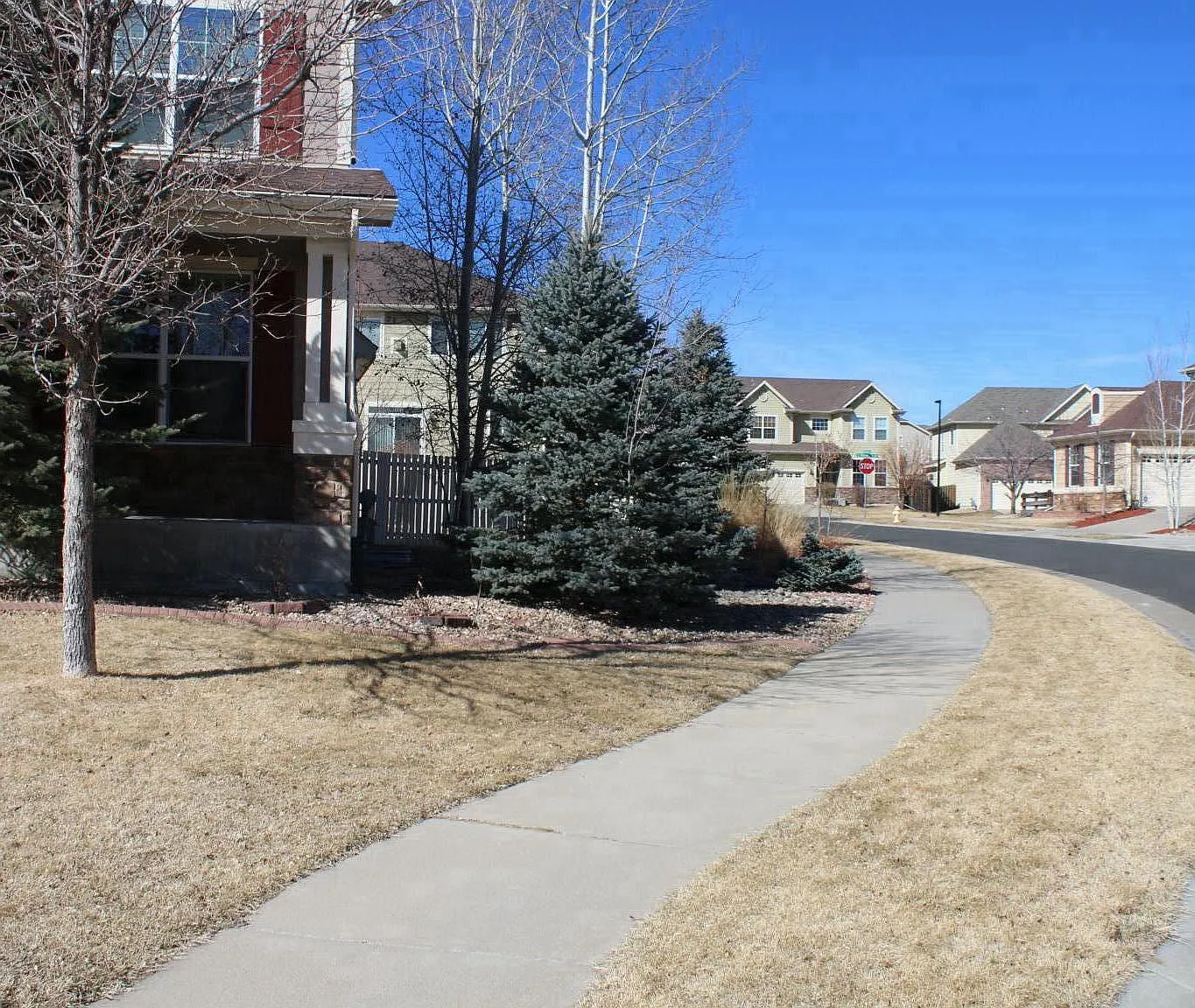 4 bed, 2.5 bath, 3100 sqft, $3,500 — Photo 2